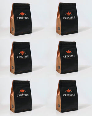6-Month Gift Subscription - Single Origin