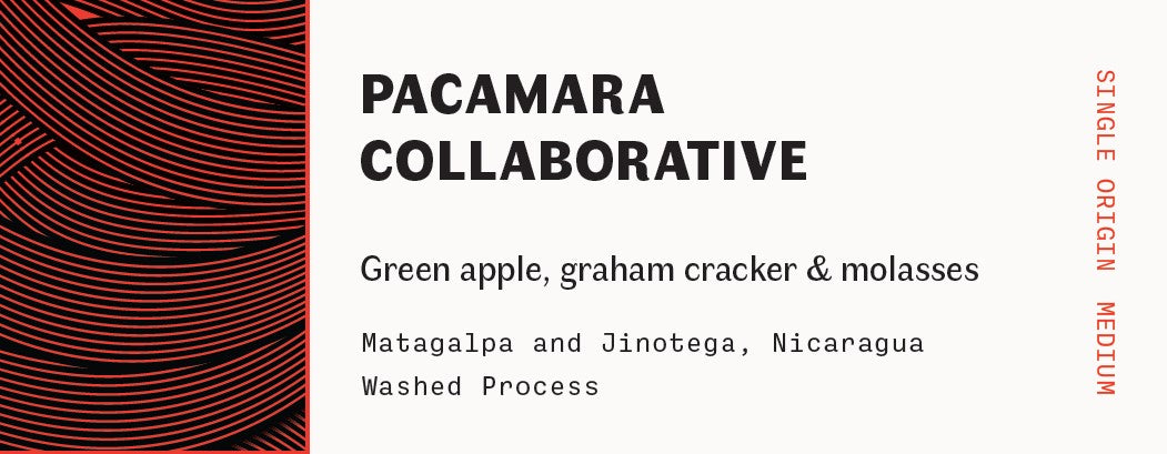 Pacamara Collaborative